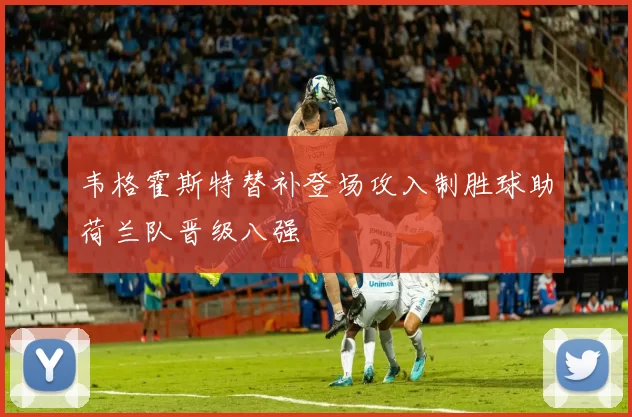 韦格霍斯特替补登场攻入制胜球助荷兰队晋级八强