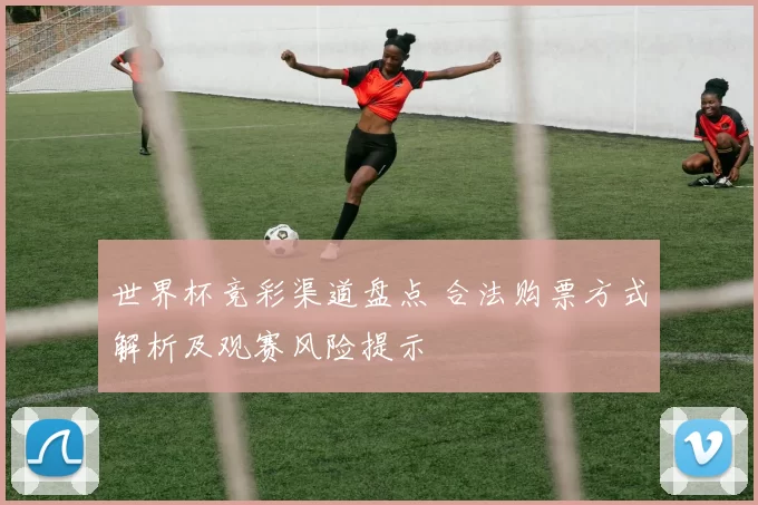 世界杯竞彩渠道盘点 合法购票方式解析及观赛风险提示