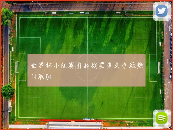 世界杯小组赛首轮战罢多支夺冠热门取胜