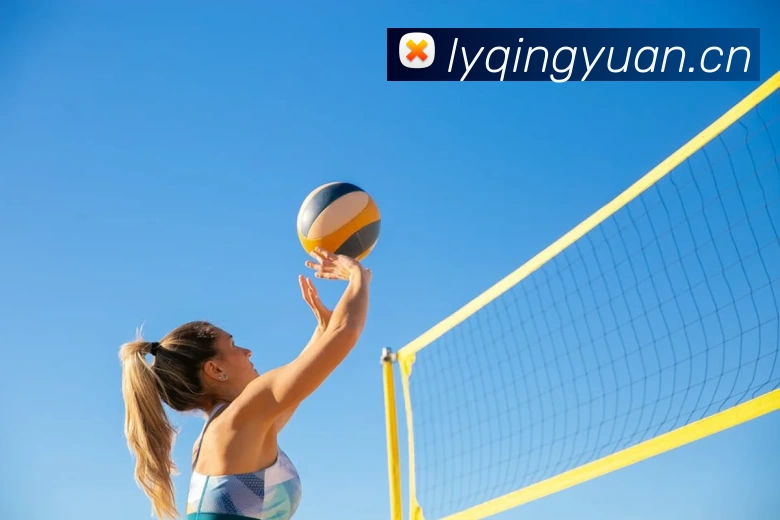 环球(中国)体育官方网站平台生态图